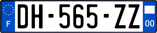 DH-565-ZZ