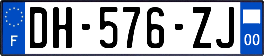 DH-576-ZJ