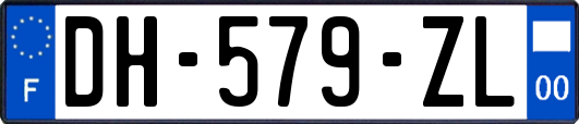 DH-579-ZL