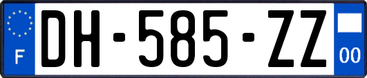 DH-585-ZZ