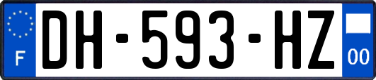 DH-593-HZ