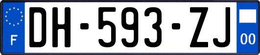 DH-593-ZJ