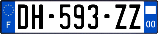 DH-593-ZZ