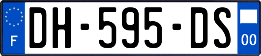 DH-595-DS