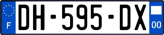 DH-595-DX