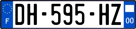 DH-595-HZ
