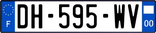 DH-595-WV