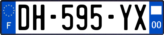 DH-595-YX