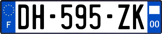 DH-595-ZK