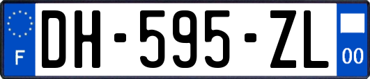 DH-595-ZL