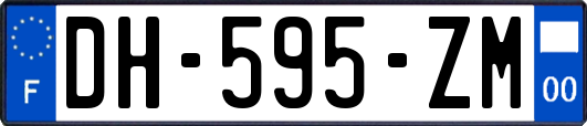 DH-595-ZM