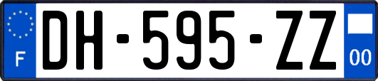 DH-595-ZZ