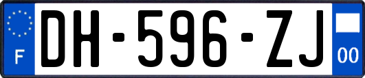 DH-596-ZJ