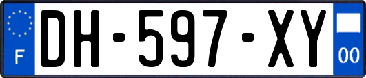 DH-597-XY
