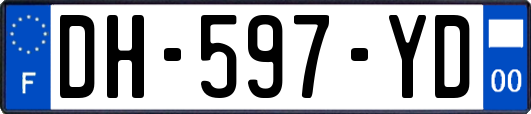 DH-597-YD