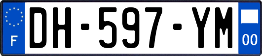 DH-597-YM