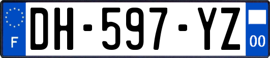 DH-597-YZ