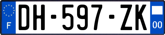 DH-597-ZK