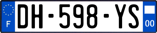DH-598-YS