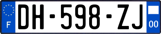 DH-598-ZJ