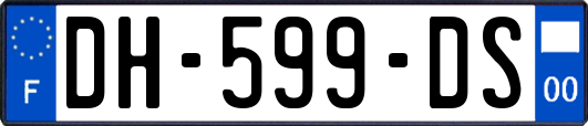 DH-599-DS