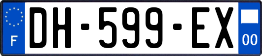 DH-599-EX