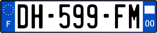 DH-599-FM