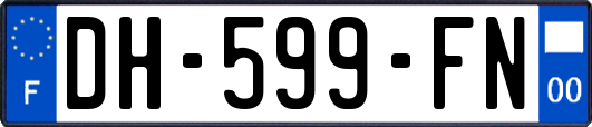 DH-599-FN