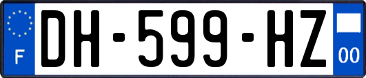 DH-599-HZ