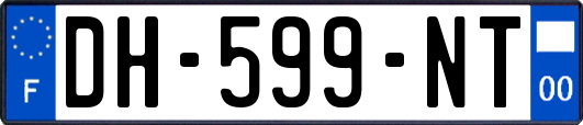 DH-599-NT