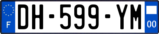 DH-599-YM