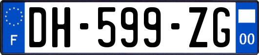 DH-599-ZG