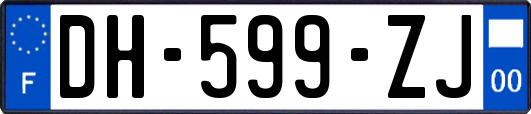 DH-599-ZJ