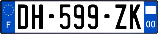 DH-599-ZK