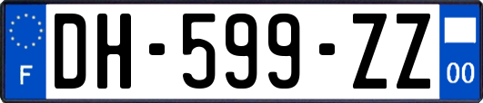 DH-599-ZZ