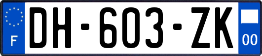 DH-603-ZK