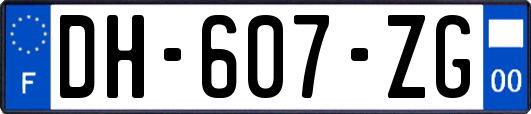 DH-607-ZG