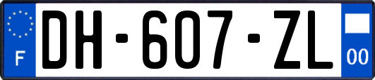 DH-607-ZL