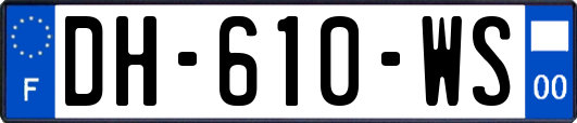 DH-610-WS