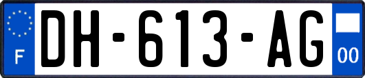 DH-613-AG