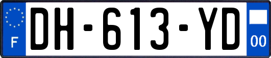 DH-613-YD