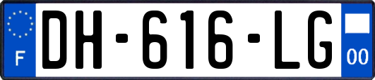 DH-616-LG