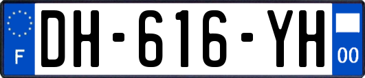 DH-616-YH
