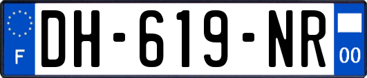 DH-619-NR