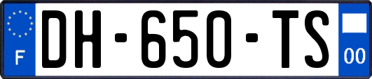 DH-650-TS