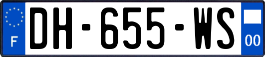 DH-655-WS