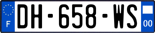 DH-658-WS