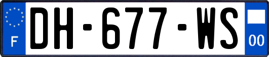 DH-677-WS