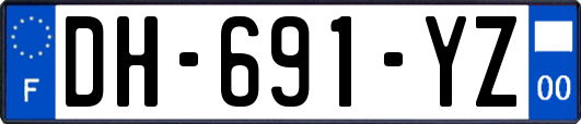 DH-691-YZ