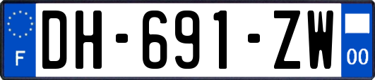 DH-691-ZW